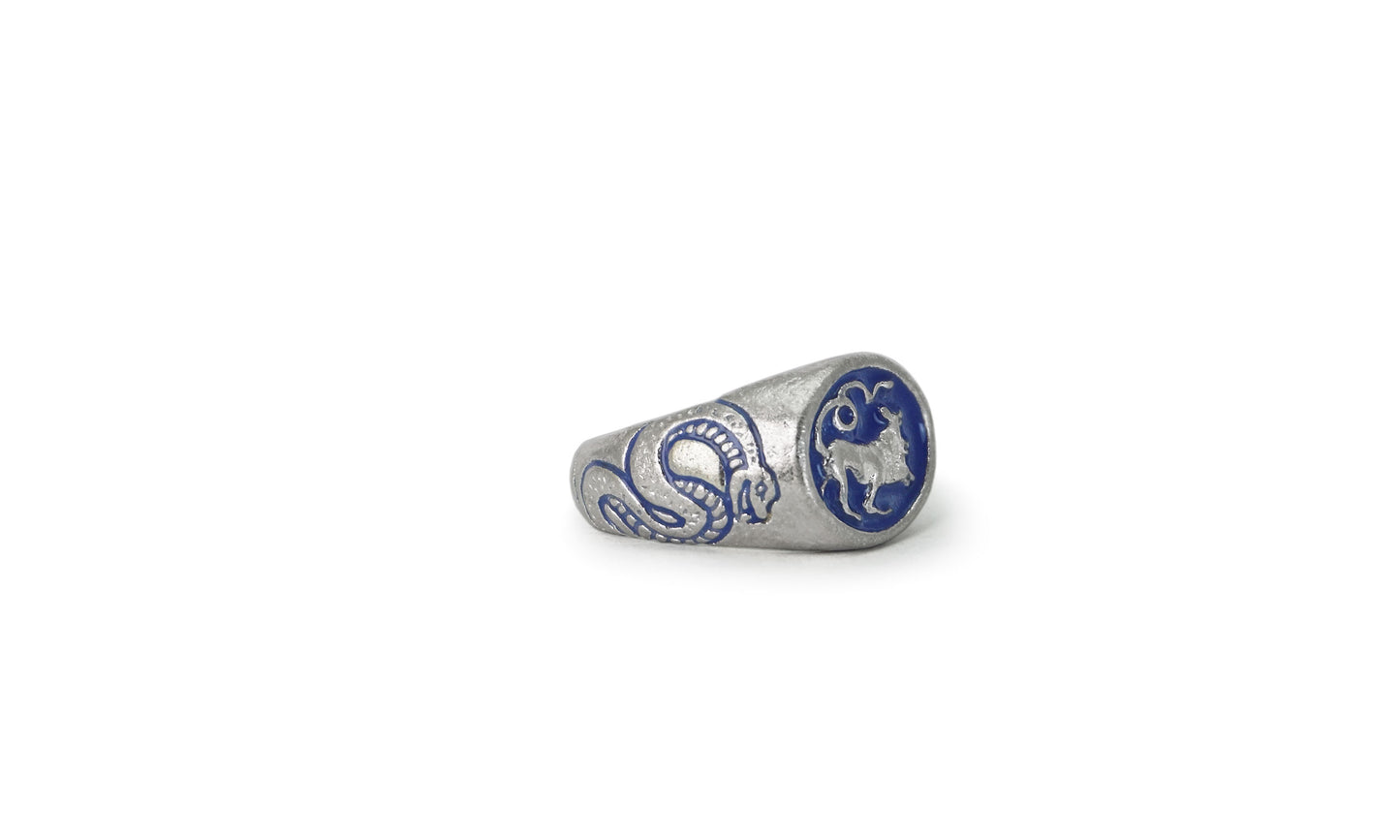 CERBERUS | CARVED SILVER SIGNET RING