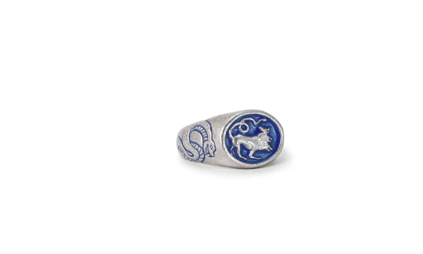 CERBERUS | CARVED SILVER SIGNET RING